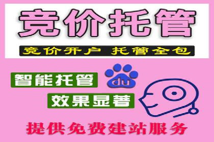 SEM托管实战案例：助力企业品牌形象塑造